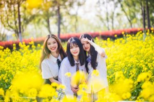 �п�һģ�ɼ������룬����δ��û��·�����£���������Ļ�������